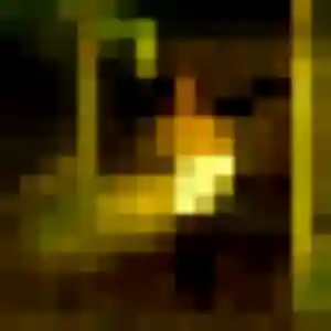 Dina de Wattrelos, 40 ans - rencontre japonaise discret