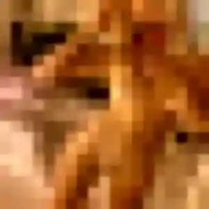 Contacte Misaki, 32 ans à Yutz en privé