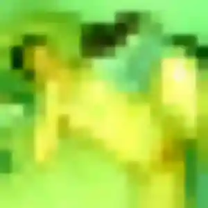 Rena, 42 ans, dispo pour rencontre japonaise à Yvetot