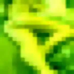 Ngoc-Lan (38 ans) à Yzeure propose un rencontre japonaise ce soir